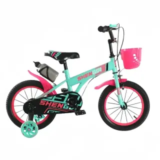 New Kids Bicycle