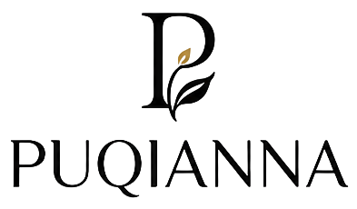 Home puqianna logo